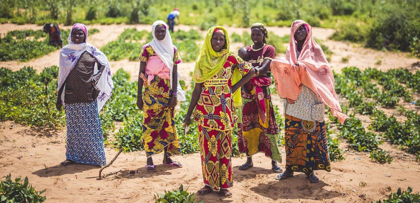 Farmers in Niger