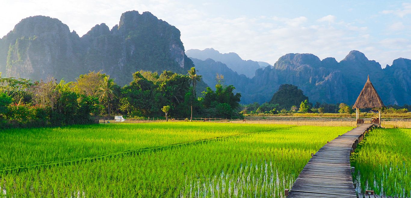 Lush rice fields and limestone mountains in Laos