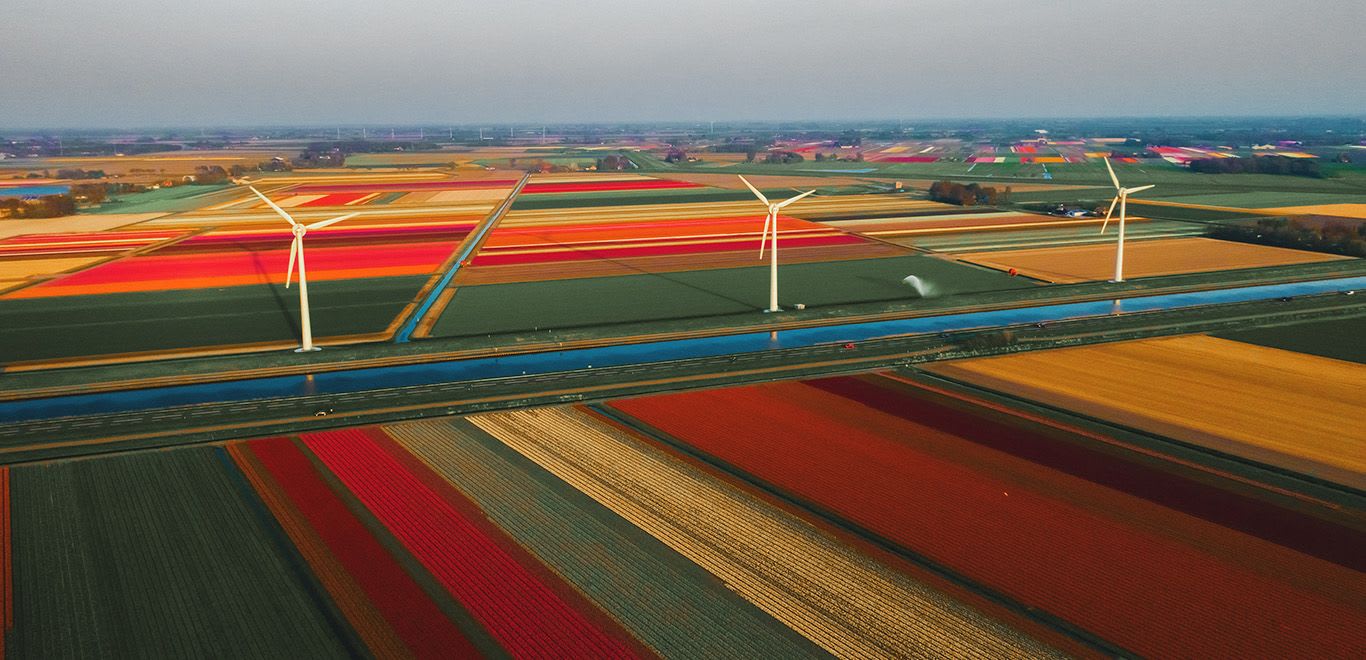 Beautiful colours of the Netherlands