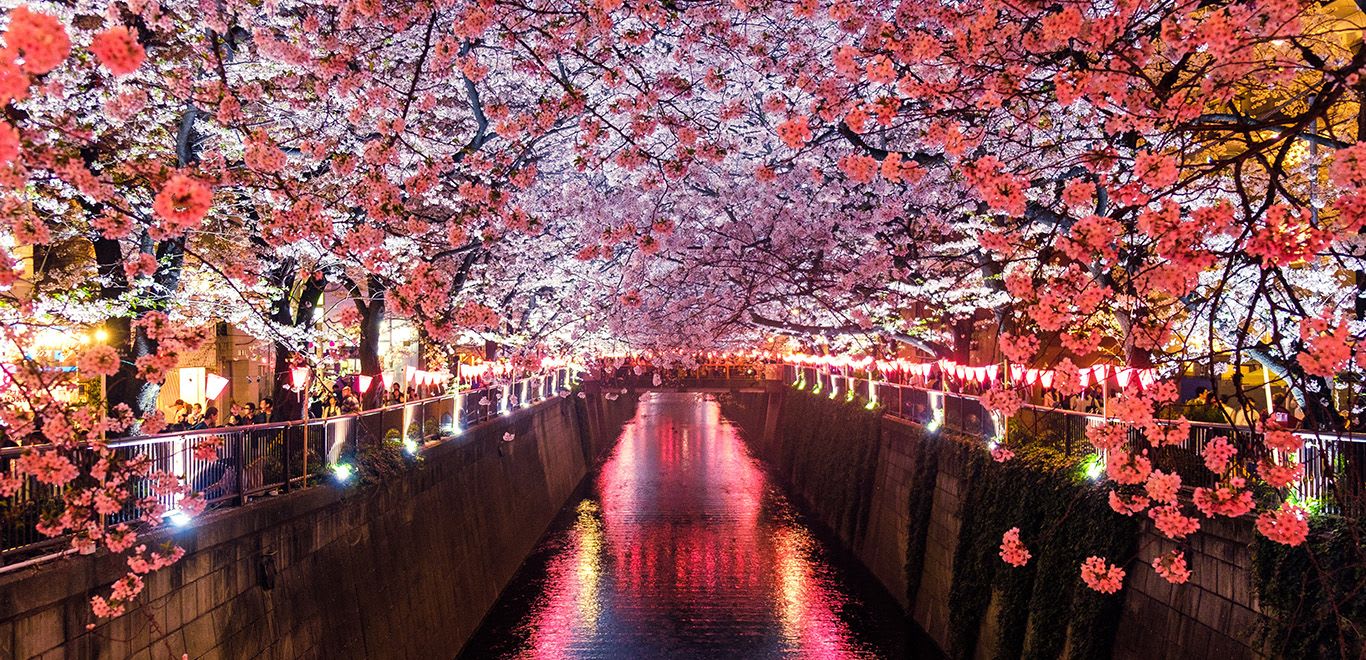 Meguro River, Matsuno, Japan