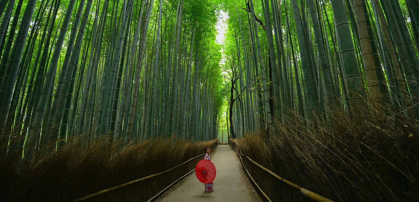 Arashiyama, Kyoto, Japan