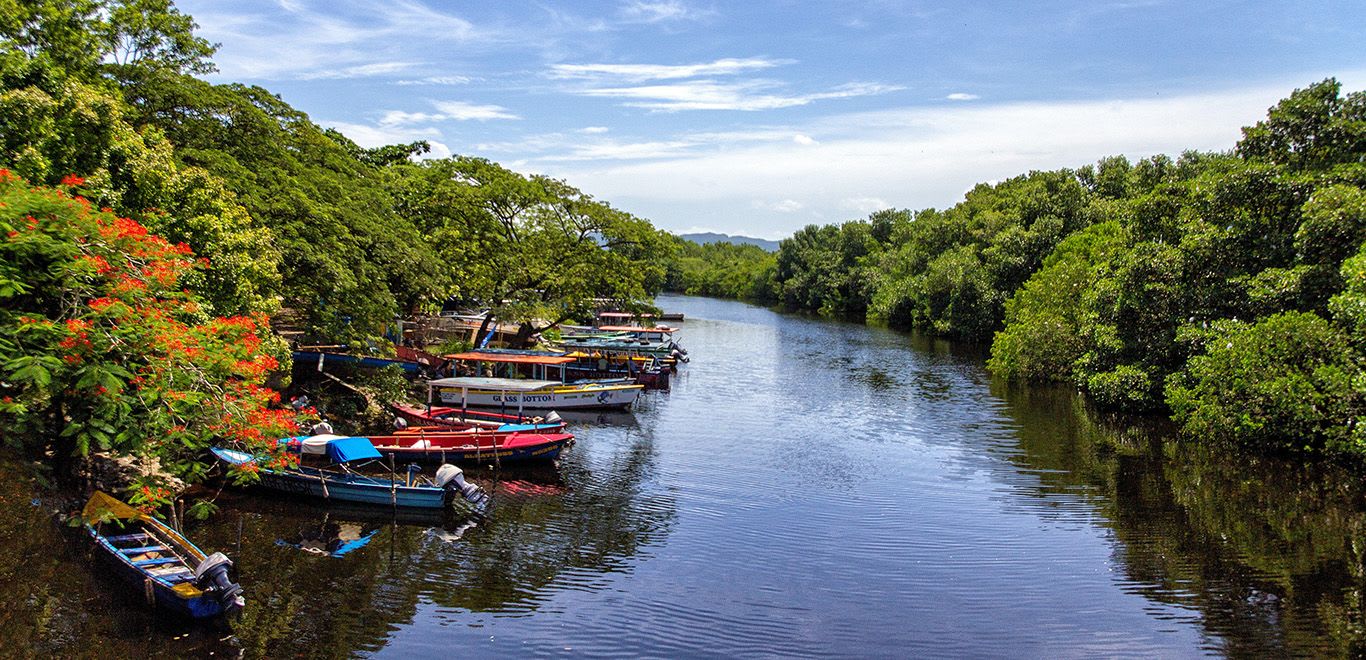 Boats in a river in Jamaica