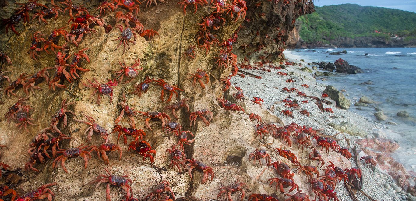 Ethel Beach, Christmas Island