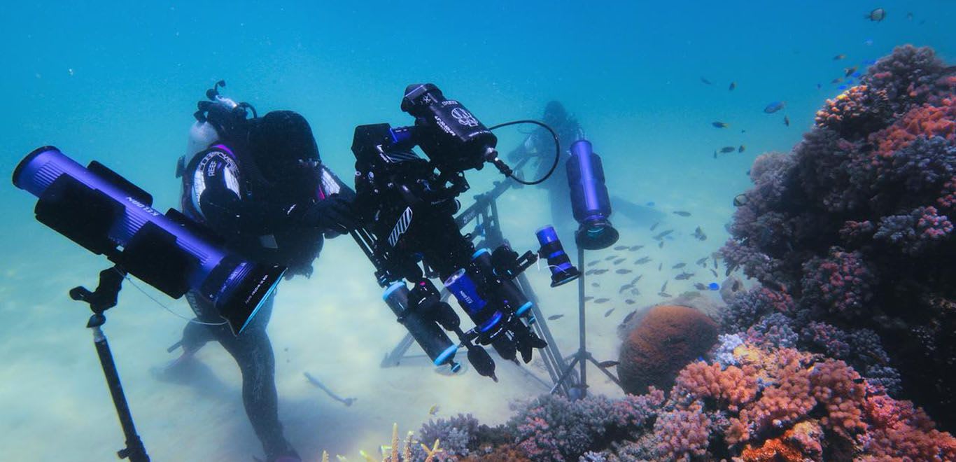 Puff: Divers on barrier reef