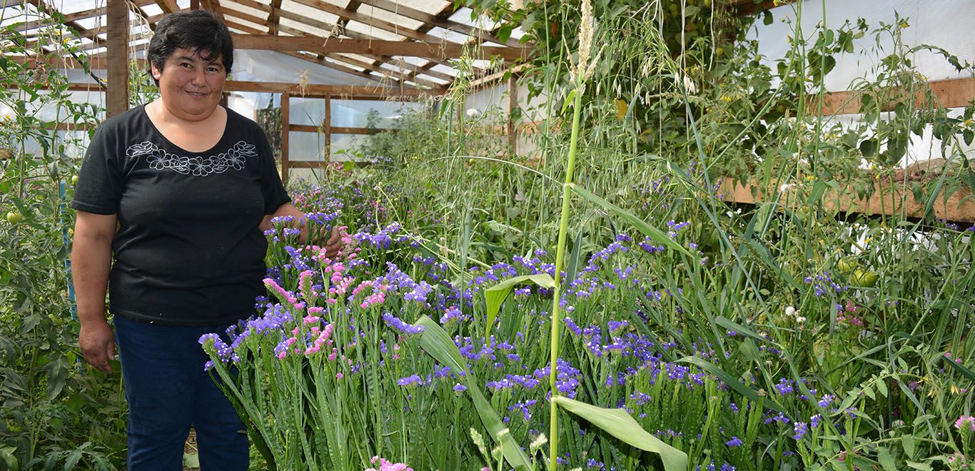 Lady in a greenhouse in Chile