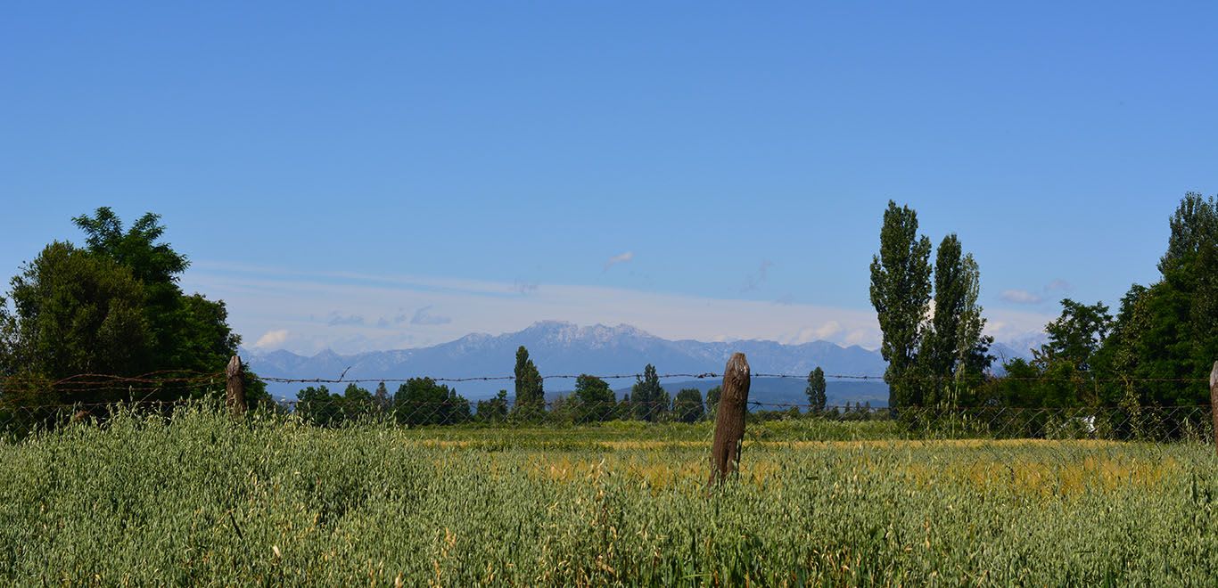 Views of the Andes Mountain