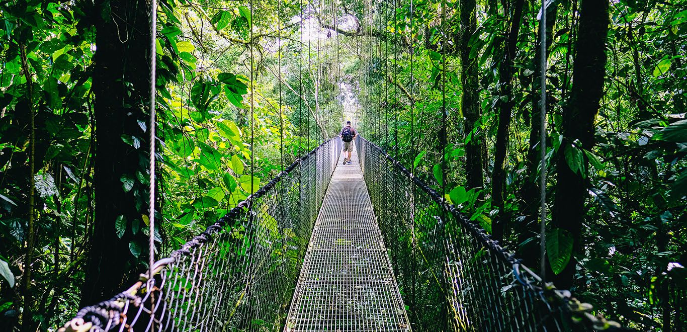 Bridge in Costa Rica