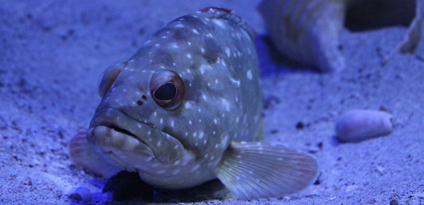 WhereNext | Marine Park and Animal Rescue in Costa Rica