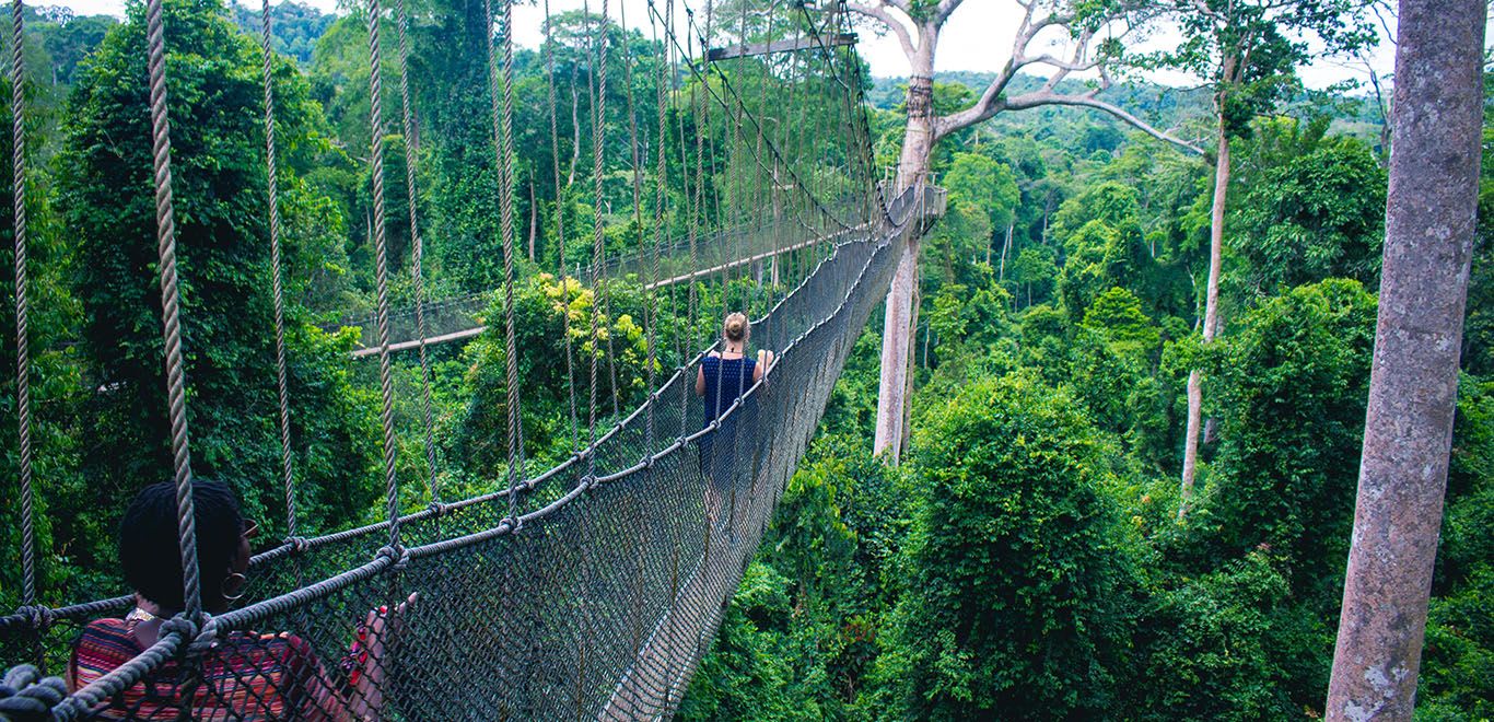 Kakum Canopy, Cape Coast, Ghana