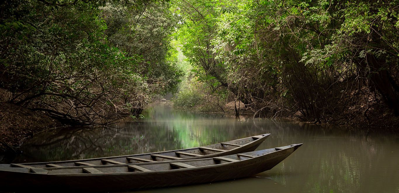 Canoes in Ghana