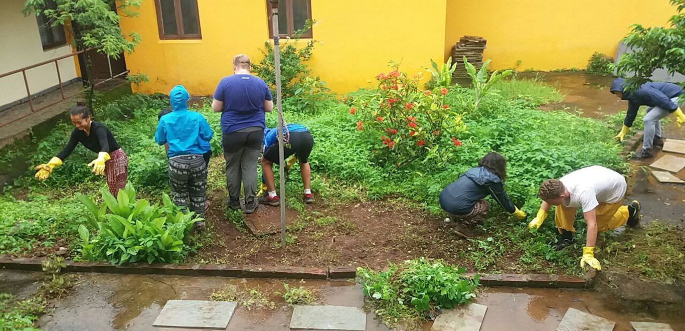 Volunteers working in a garden in Goa