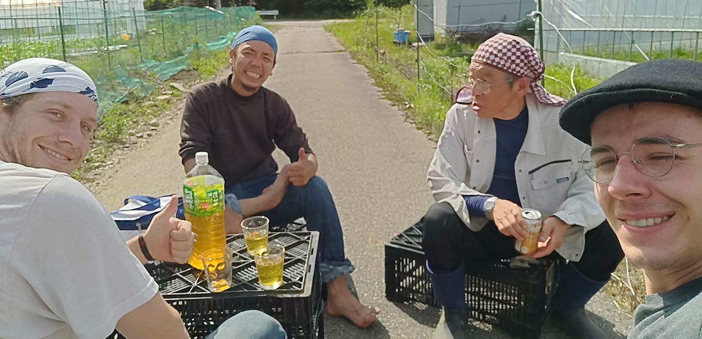 Men drinking tea in Japan