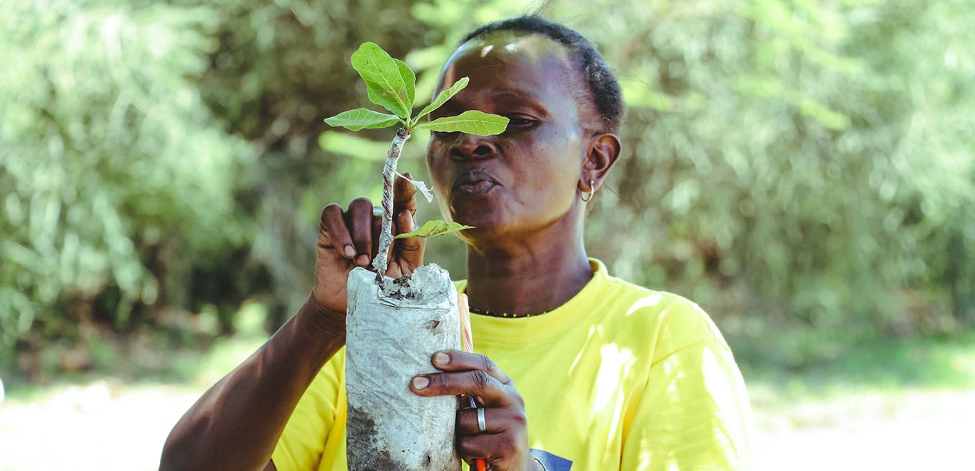 Women with a tree sapling in Kenya