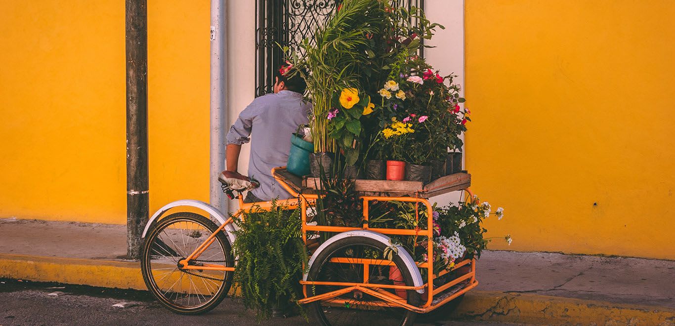 Flowers in a Tricycle in Barrio de Santiago, Mérida, Mexico