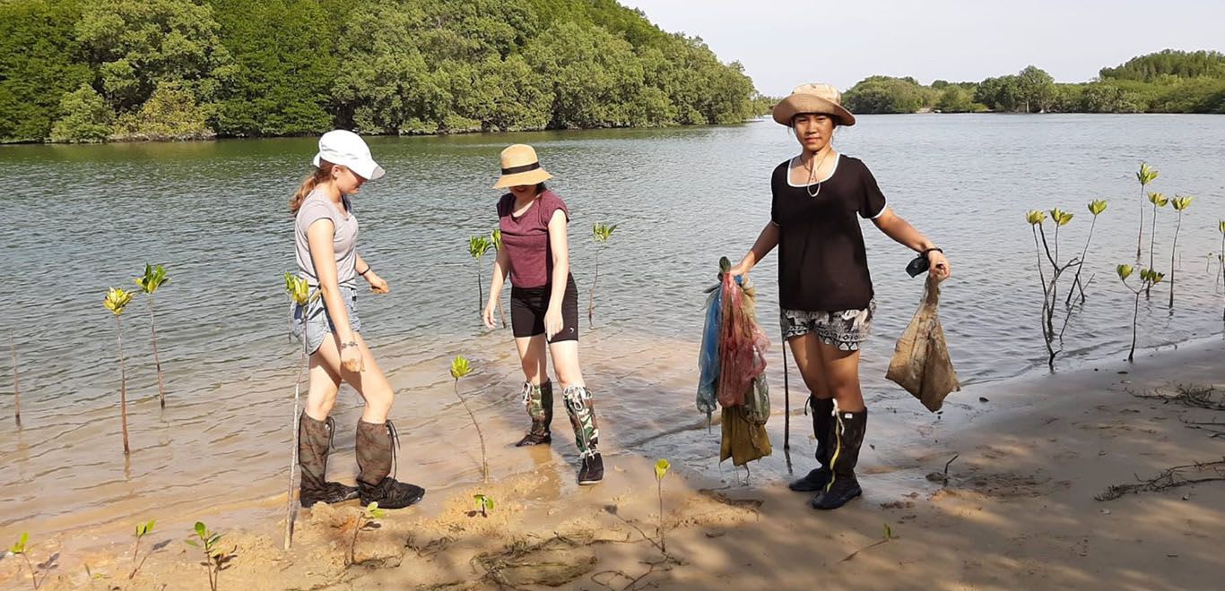 Women Planting Mangroves in Thailand