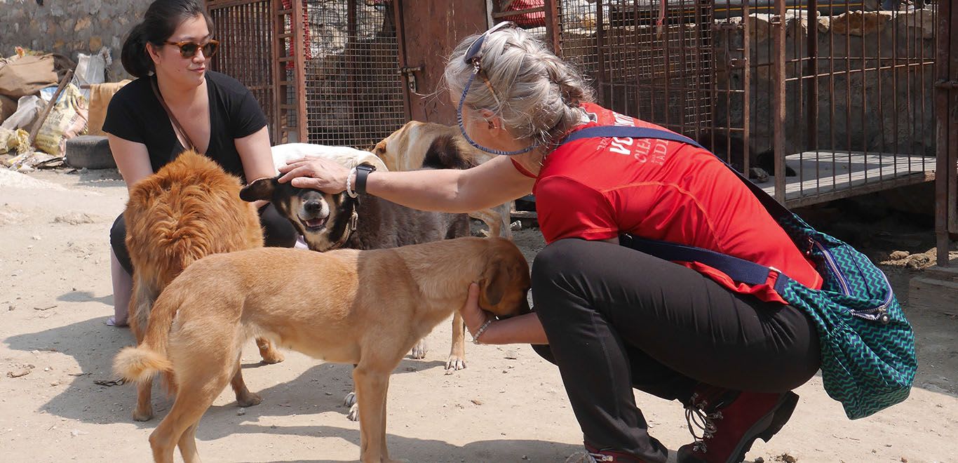 Canine Rehabilitation in Nepal