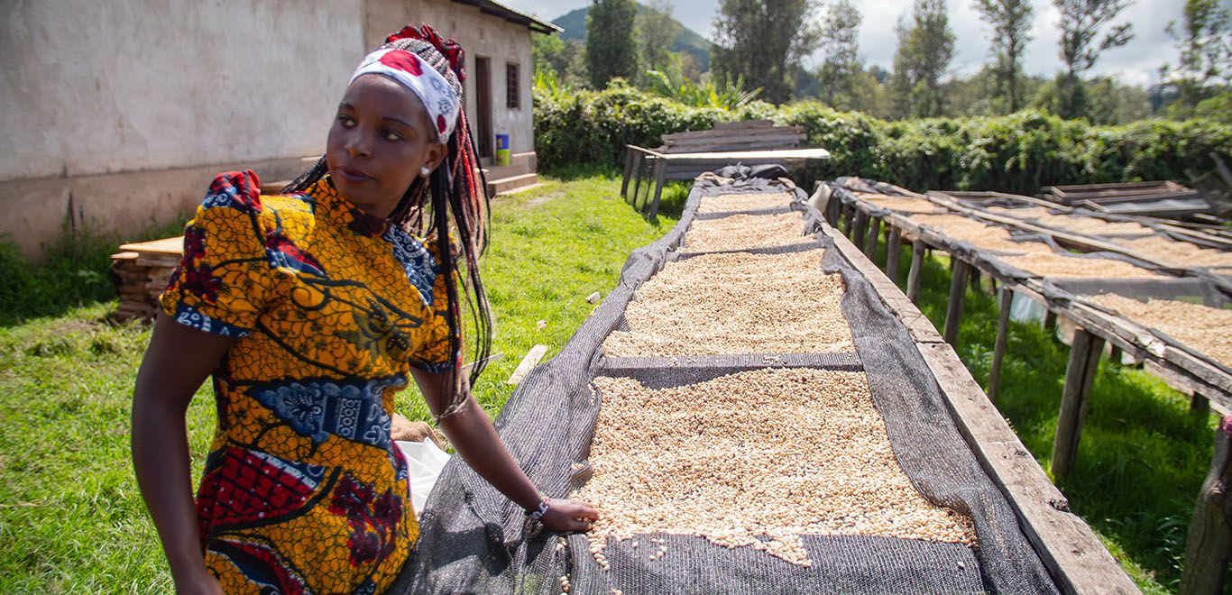 Woman drying coffee in Tanzania