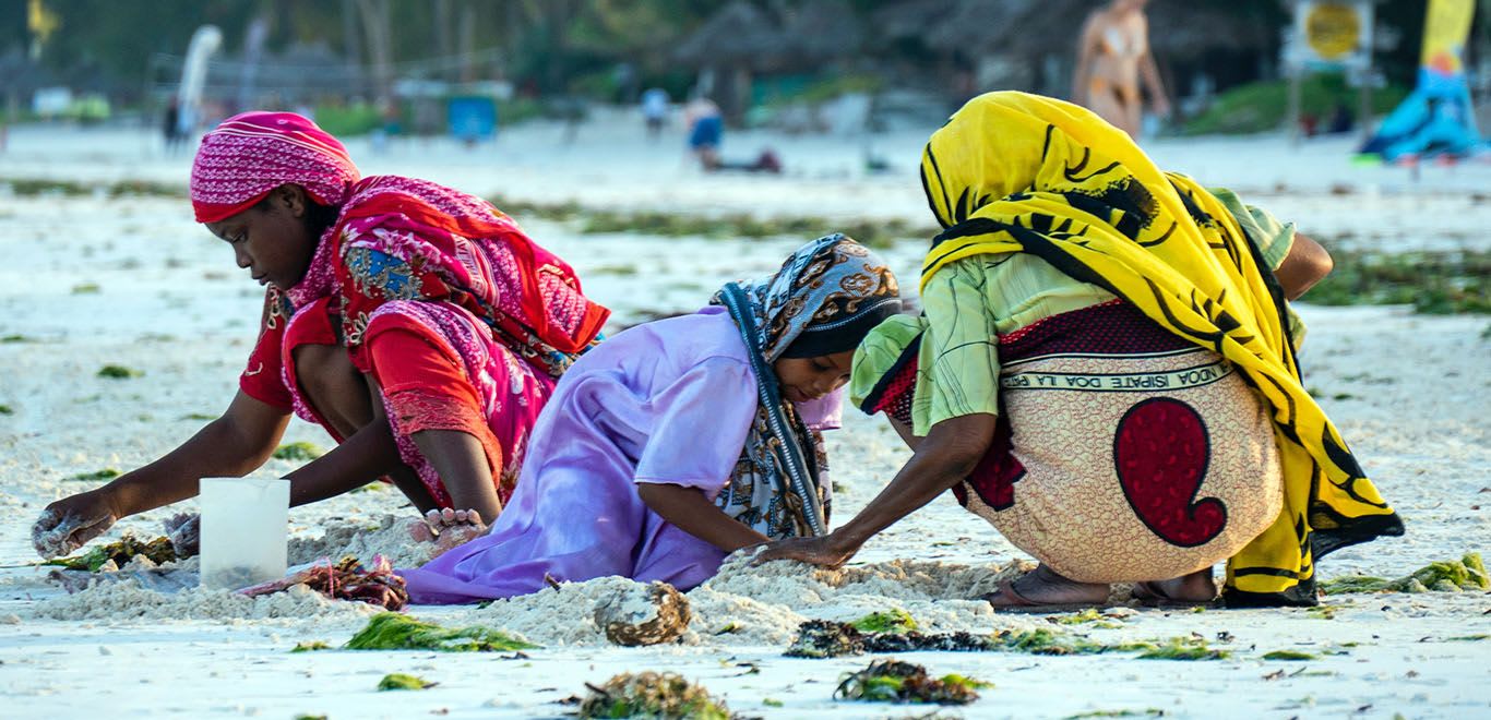 Women collecting on the beach in Zanzibar
