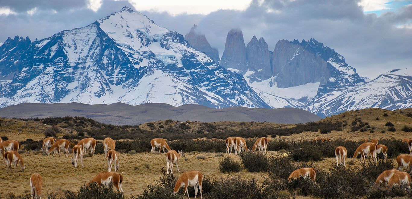 Torres del Paine, Torres de Paine, Chile