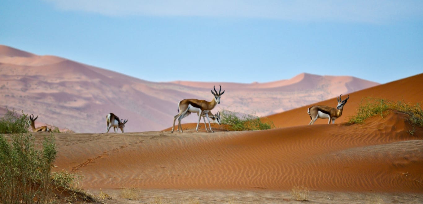 Sossusvlei Lodge, Sesriem, Namibia