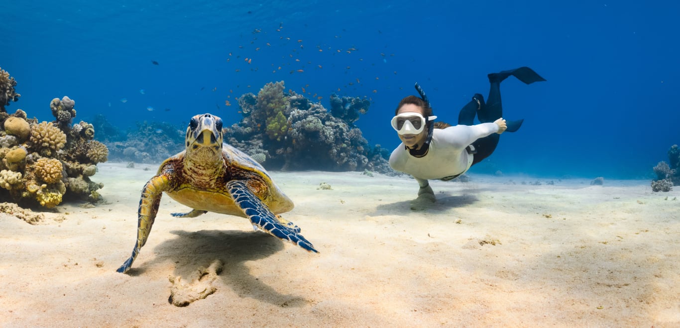 Snorkeling with turtle in Cape Verde
