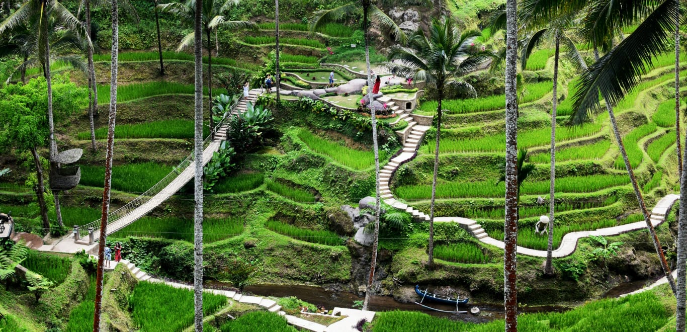 Ubud Rice Paddies, Indonesia