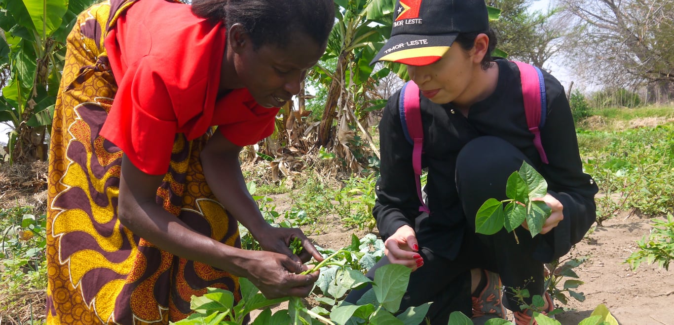 Collecting Medicinal Leaves in Malawi