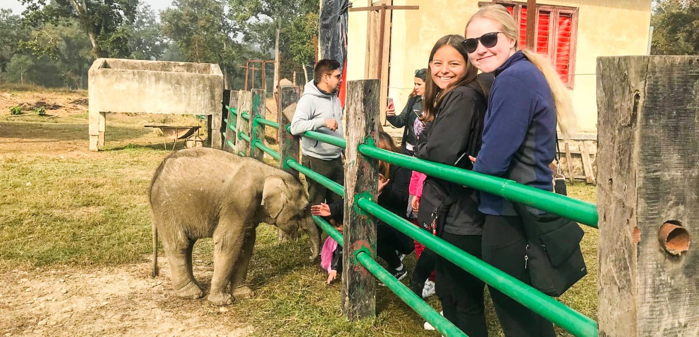 Elephants in Nepal