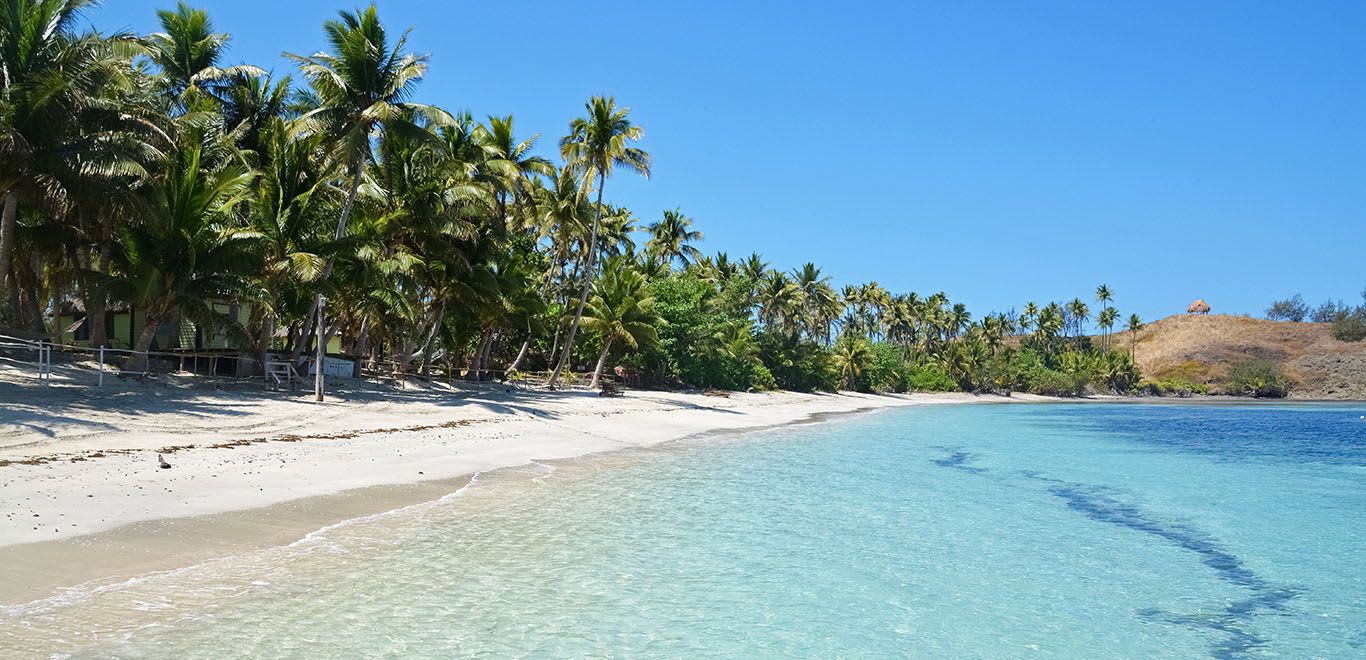 Beach and Palm Trees in Fiji