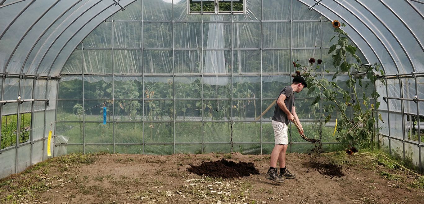 Community Agriculture in Japan