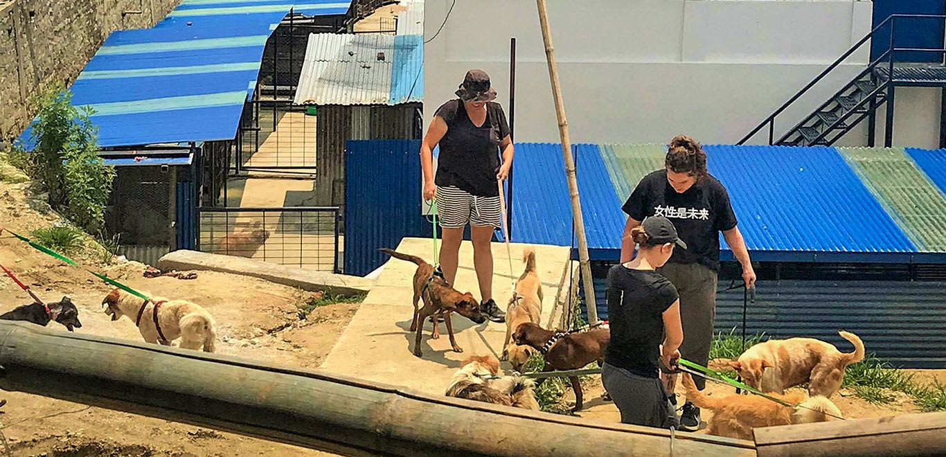 Kennel in Nepal