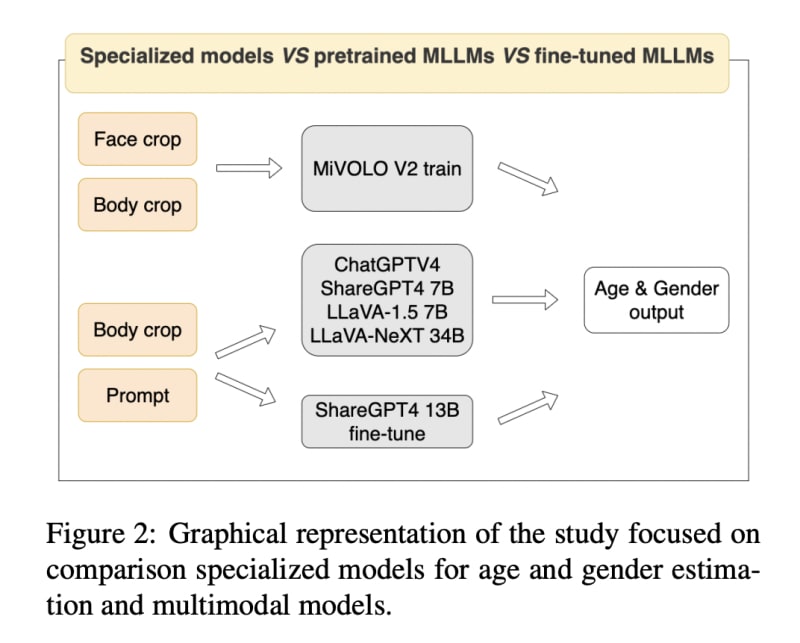 Reshaping Human Body Types With AI 