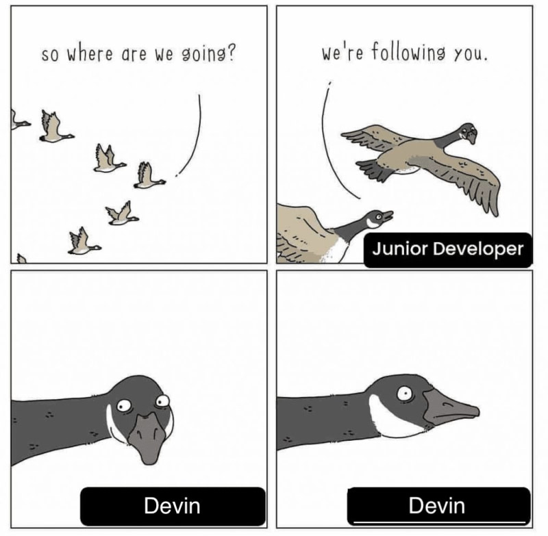 Devin