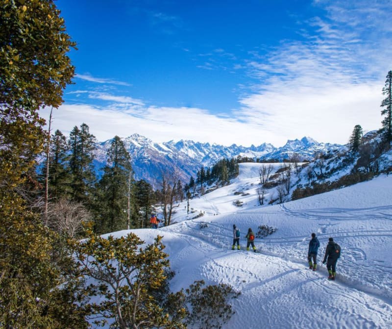 Snow Trekking — Trekking / Adventure in Gulmarg