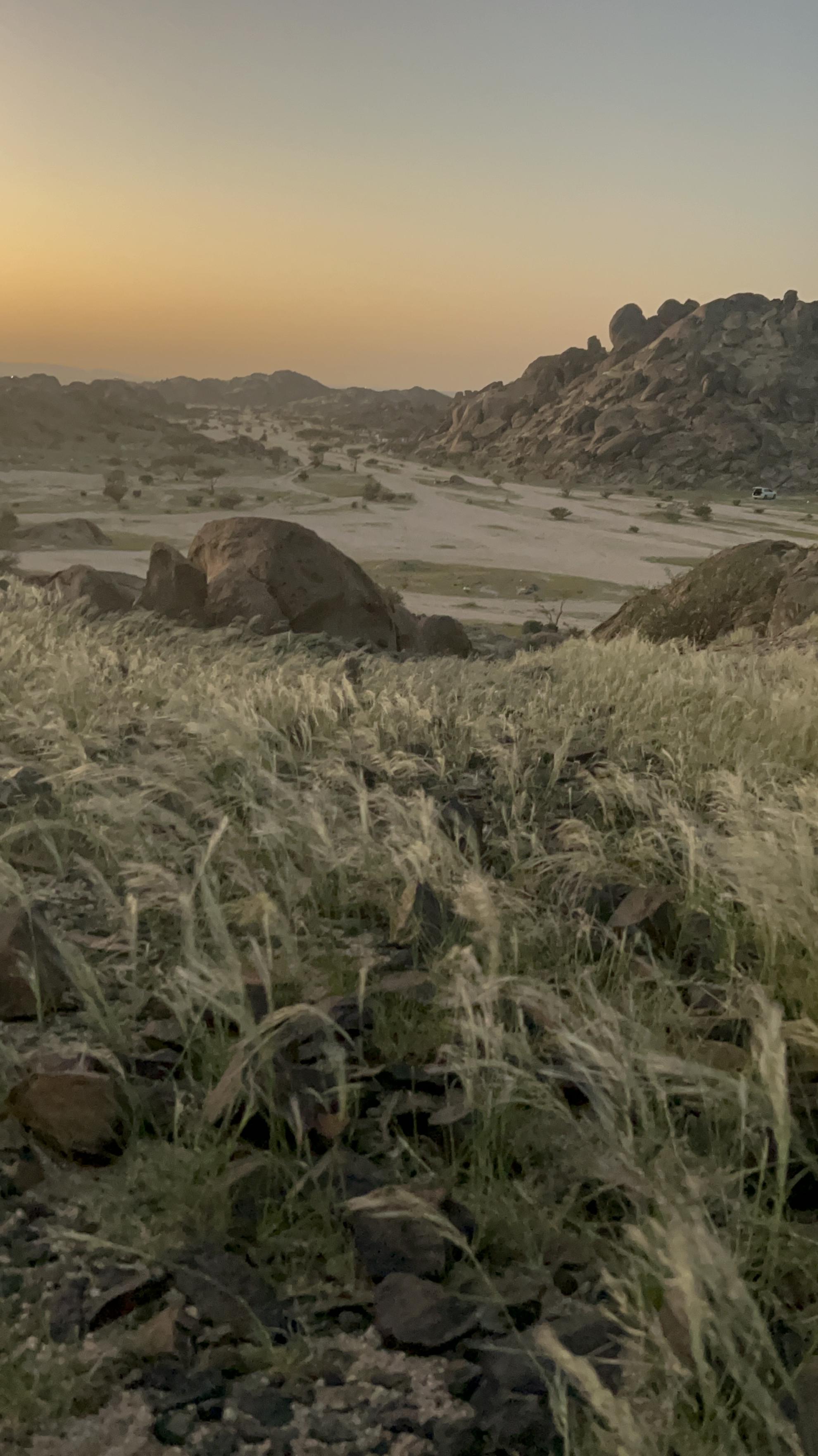 شذى عسيري gallery image 4
