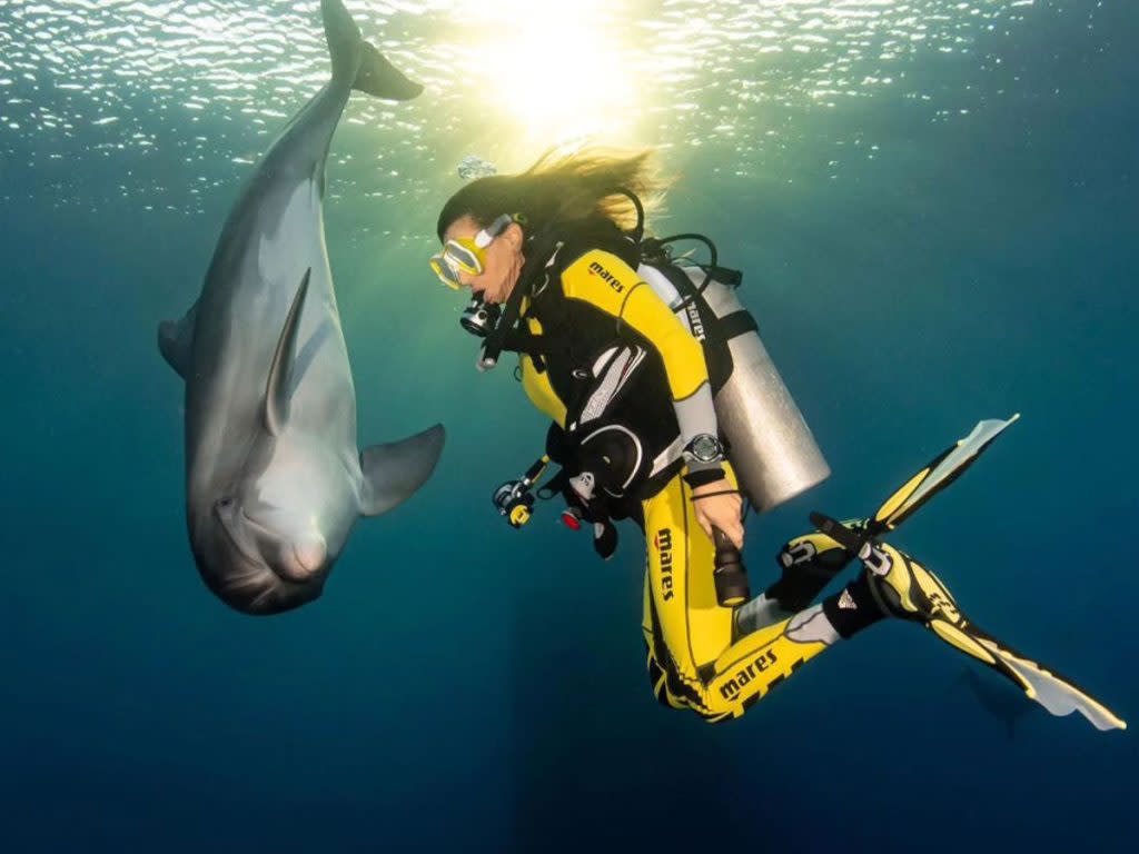 Jeddah: Pengalaman menyelam di Laut Merah bersama instruktur.
