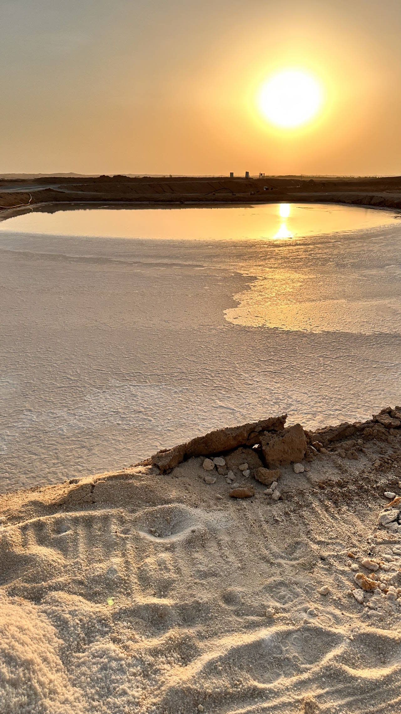 القصب: مدينة الذهب الأبيض