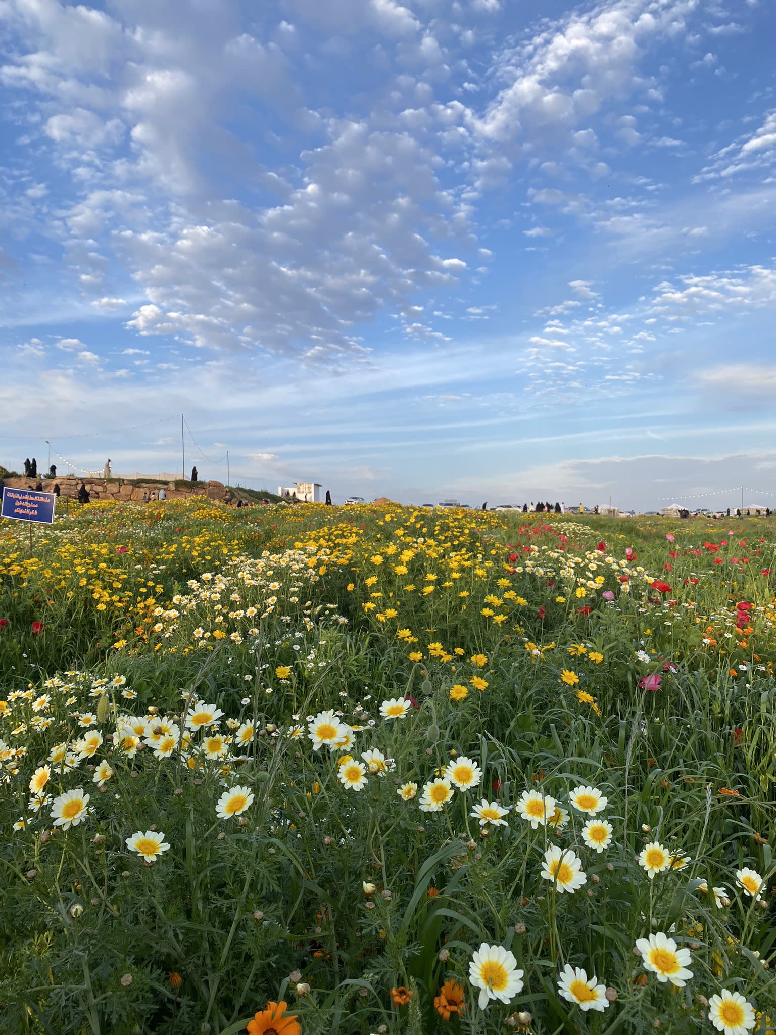 Visita la Reserva Al Nasiriyah en Riyadh Al Khubara, ¡un mundo de plantas encantadoras!
