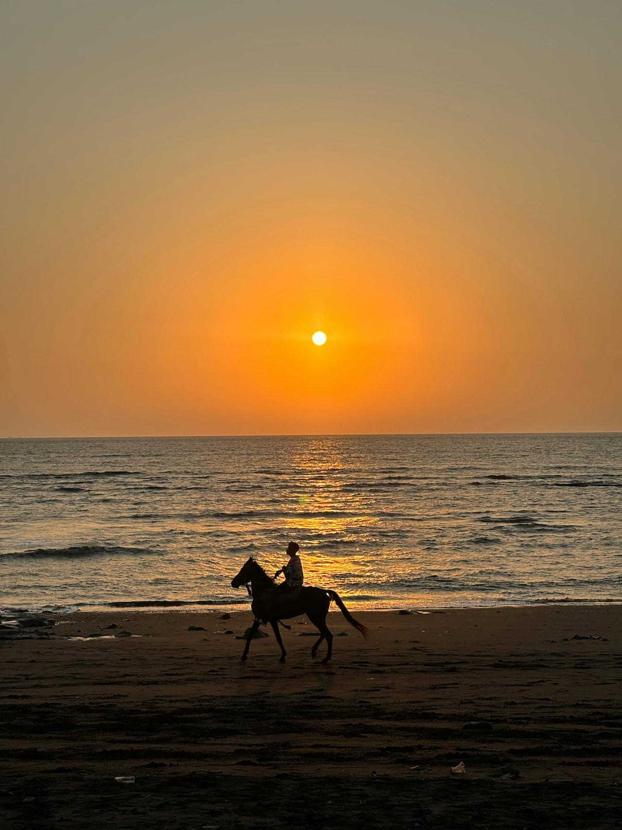 ركوب الخيل وعشاء ساحر على شاطىء جدة - السعر يشمل شخصين