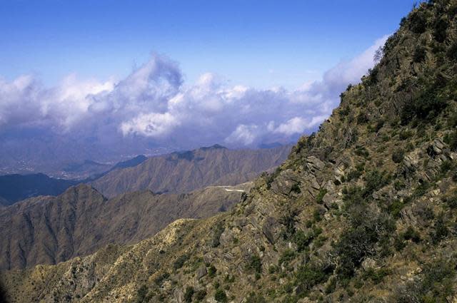 Abha Trails