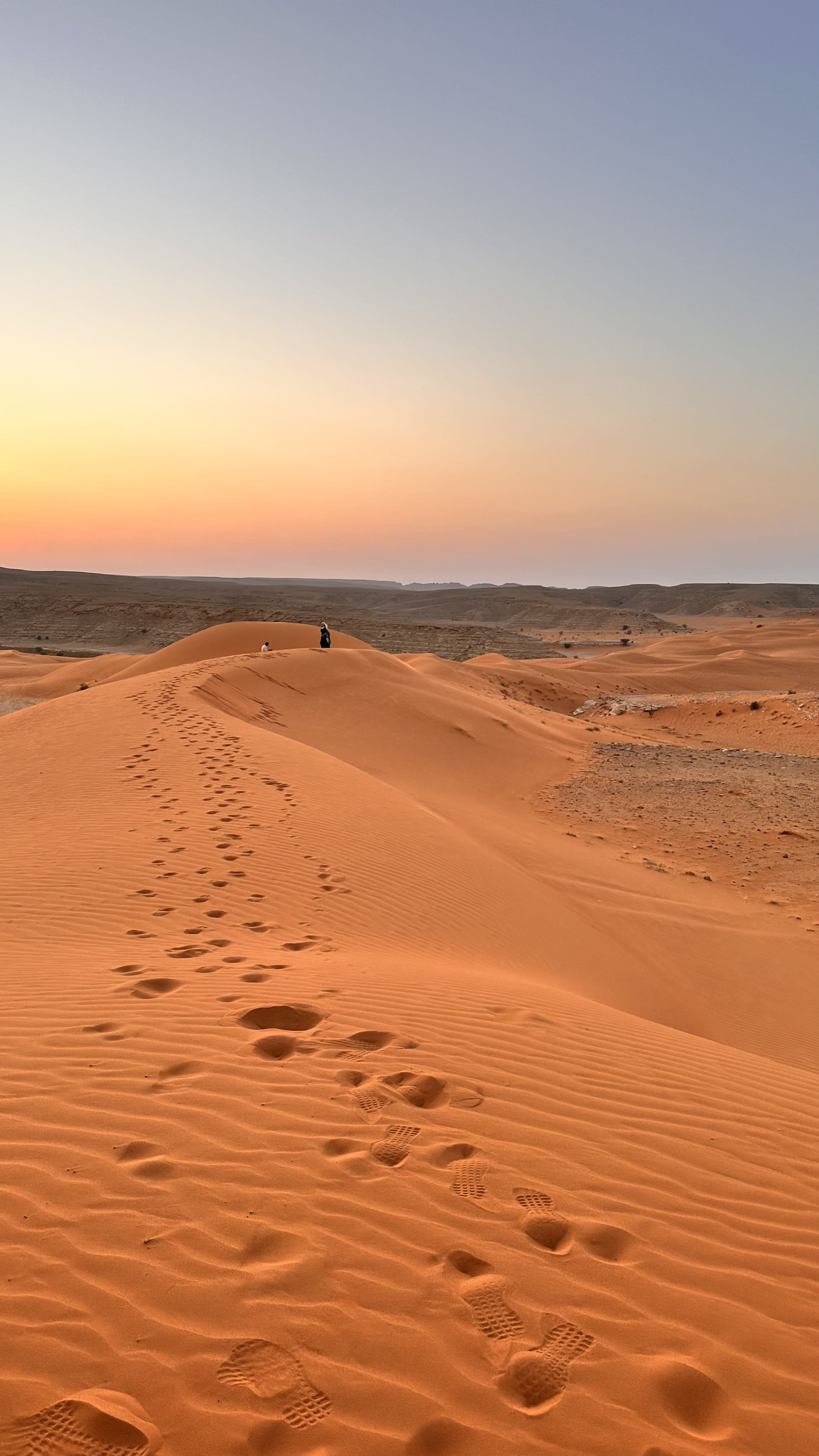 Two-day program in Riyadh (one day at the Edge of the World, and one day in the Government Palace area)