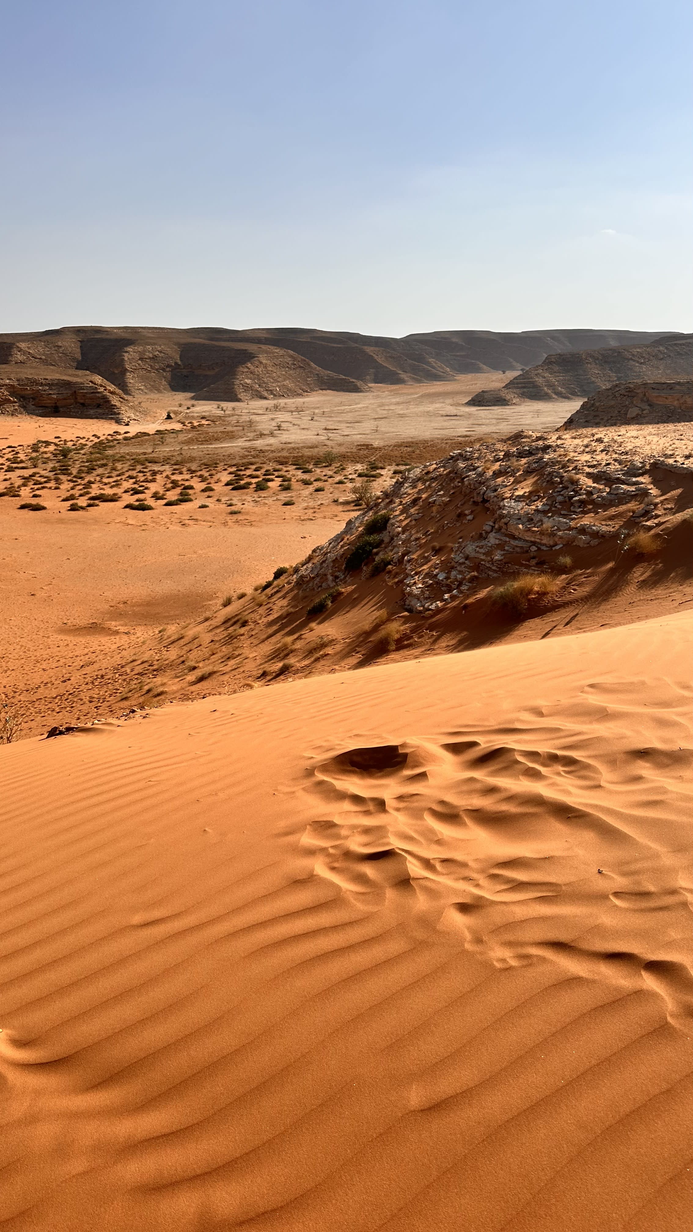 Two-day program in Riyadh (one day at the Edge of the World, and one day in the Government Palace area)