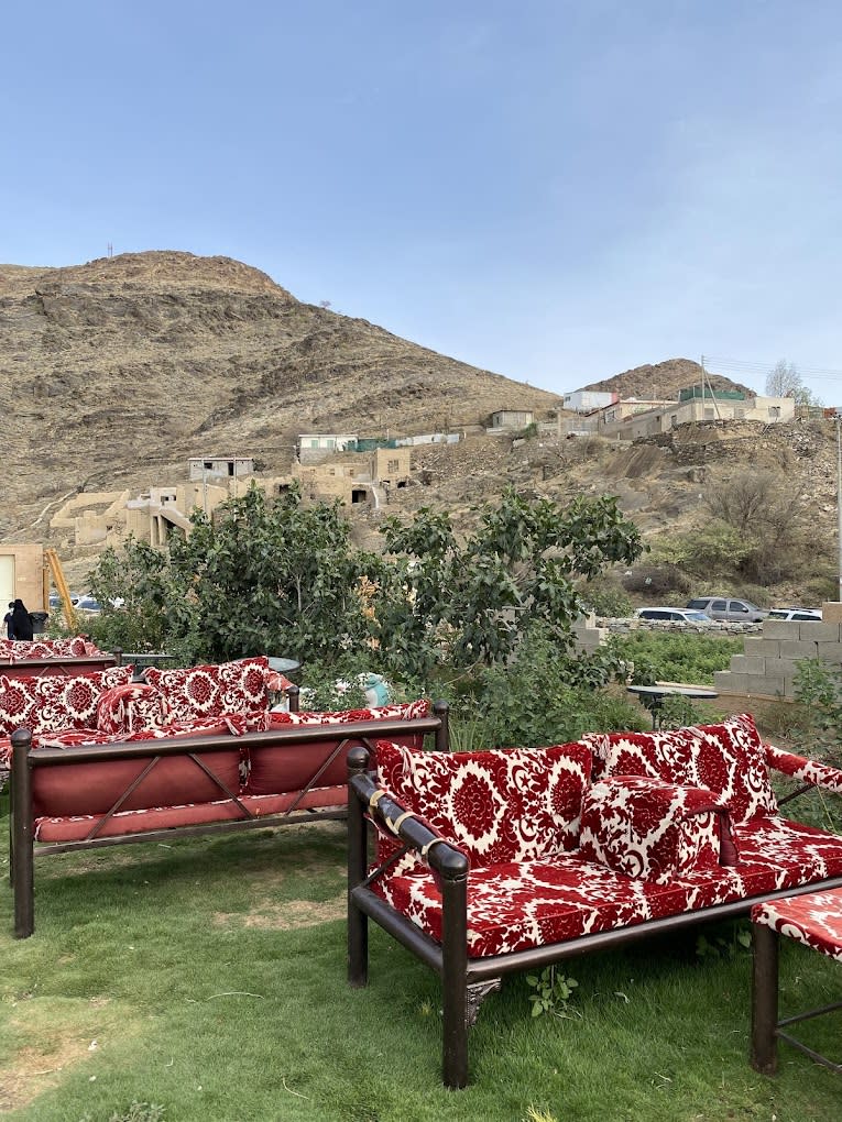 Taif rose season 🌷