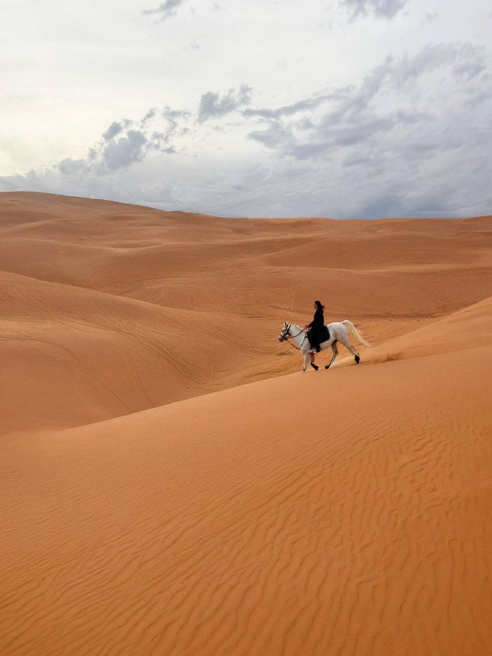 تجربة ركوب الخيل للمبتدئين مع التصوير الفوتوغرافي 