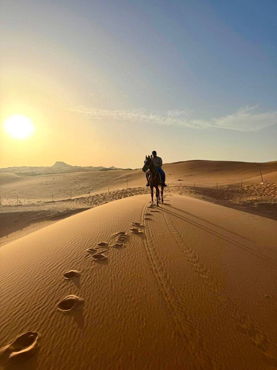 تجربة ركوب الخيل للمبتدئين مع التصوير الفوتوغرافي 