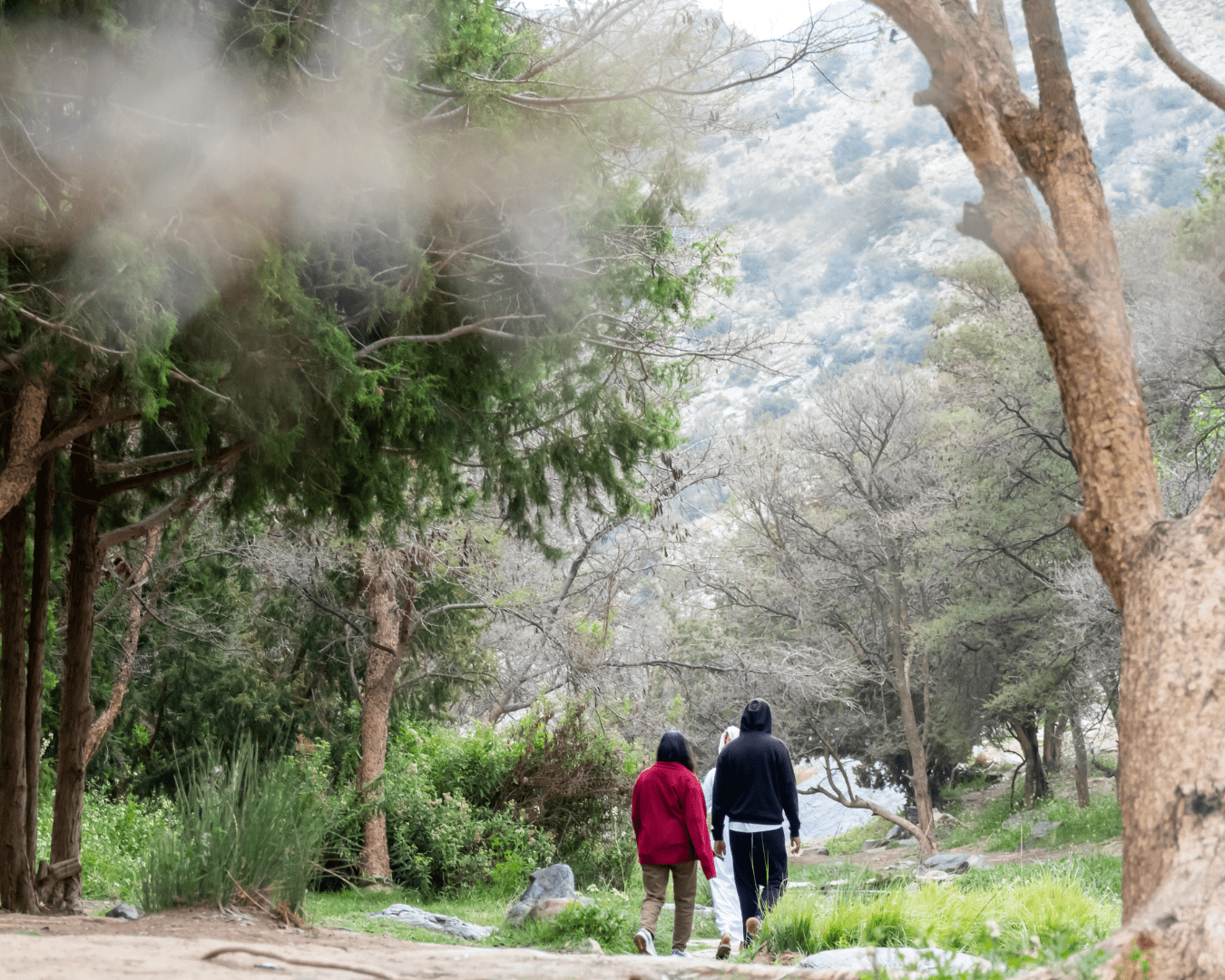 An exploratory trip towards the waterfall in Al-Baha