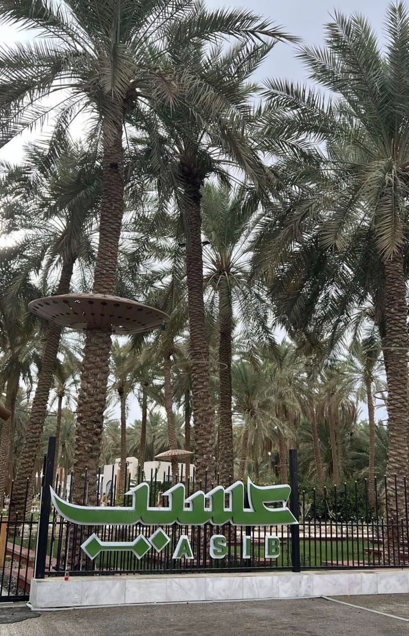 بريدة وعنيزة: جادة عسيب ومتحف العقيلات 🌴