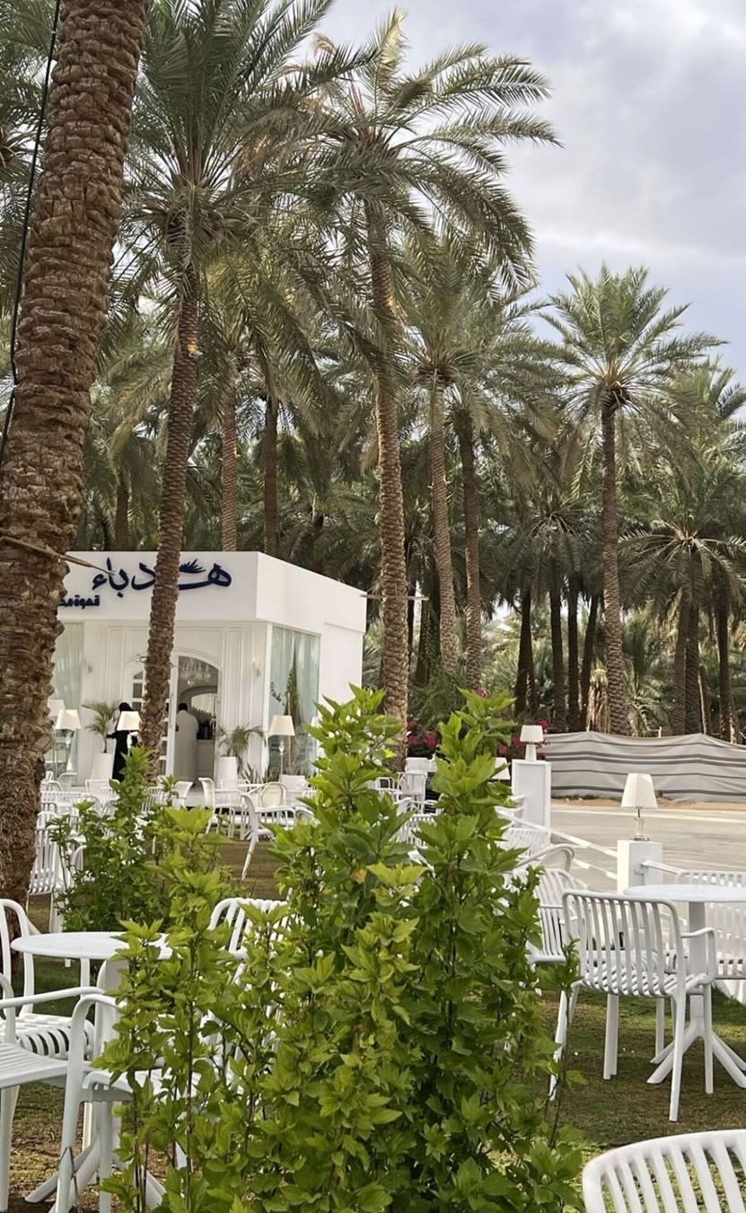 بريدة وعنيزة: جادة عسيب ومتحف العقيلات 🌴