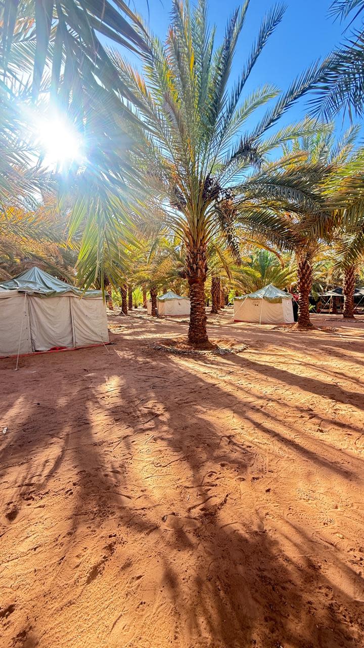 Wadi Al Disah: An unforgettable overnight stay and safari tour (The Valley of the Future)