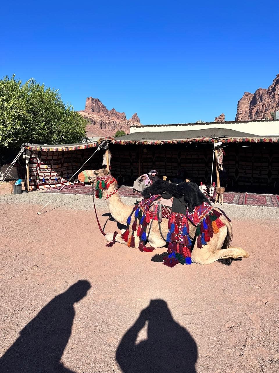 Tabuk: From the adventure of Wadi Ghamra to starry nights amidst a rural farm